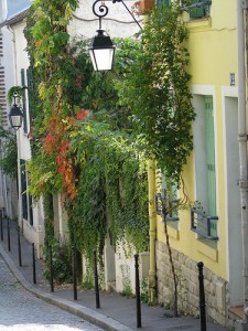 butte_cailles_2 Plantes sur la Butte aux Cailles